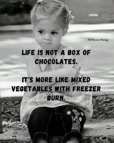 504893980_1147883517383011_5722160877083456396_n