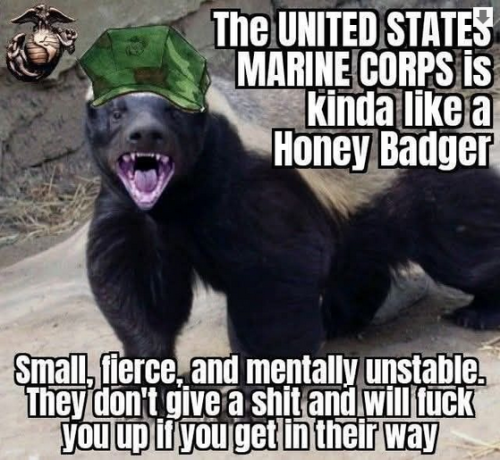 image_4CAF45C1-B22D-4AFE-9124-D4B1046643AB