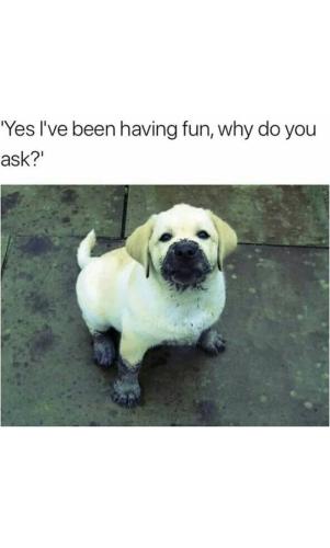 FB_IMG_1749236657124