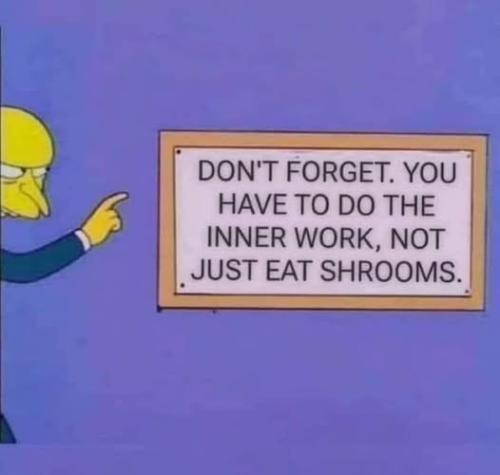 504729712_1748837722388773_7215660233943472915_n