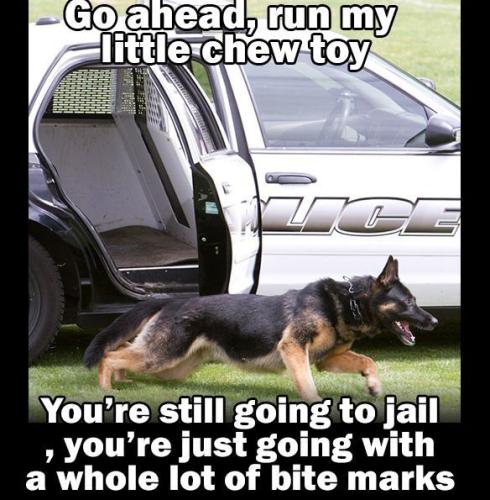 02d656682fd85d004fbf45349f60af4b