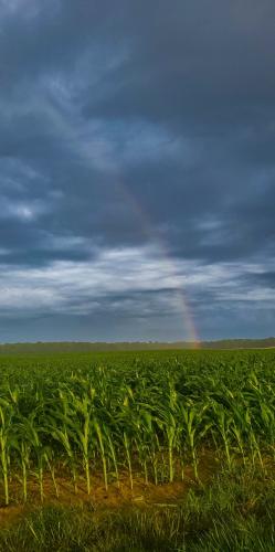 Screenshot_20250619_205426_Lightroom for Samsung