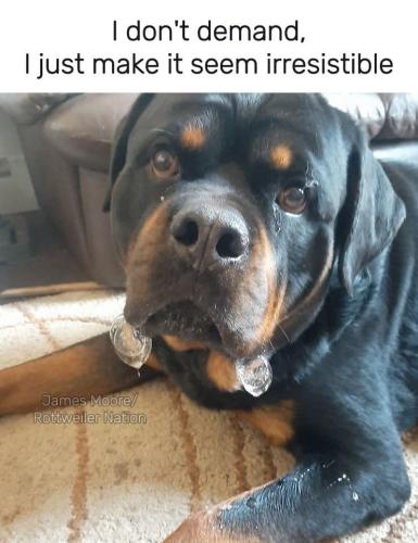 FB_IMG_1749065725785