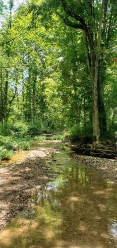 e35f255b-6dd4-4003-bbf6-6ed2f4f53ea2