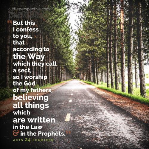 act-24-14-ww-unsplash-9x