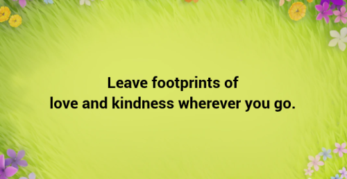 Screenshot 2025-06-13 11.31.35 PM