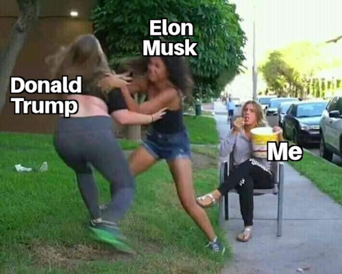 elon musk21