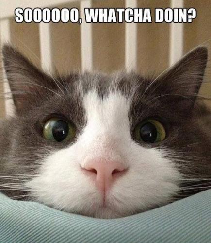 26d1a219a7255988a52cc4581378e7b6