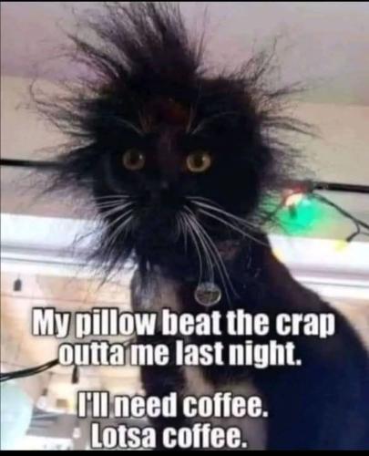 FB_IMG_1750607638424