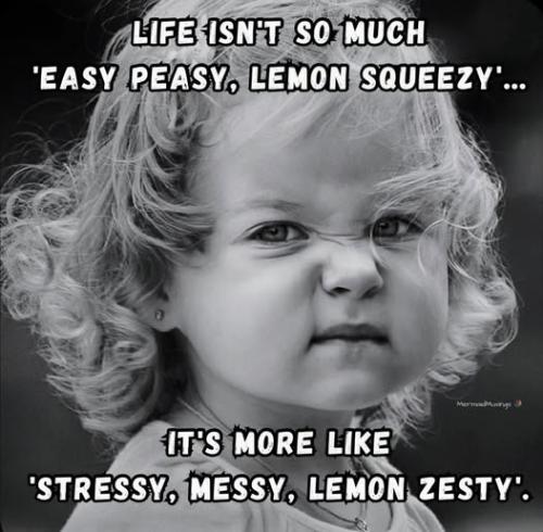 504913630_1153378220166874_4290487723998387699_n