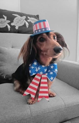 IMG_20250619_064421978_HDR~4