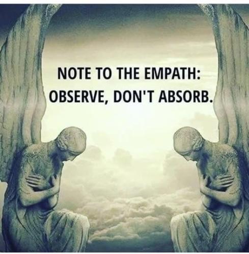 510010659_1289579596032881_1823039101124234934_n