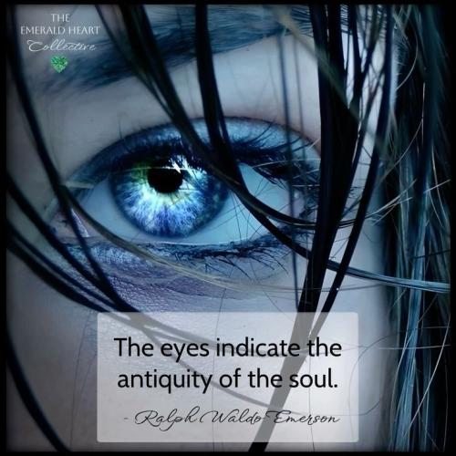 c40653faad3d51a95b8fcadd5408f8e3