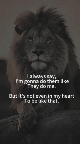 FB_IMG_1748736458457