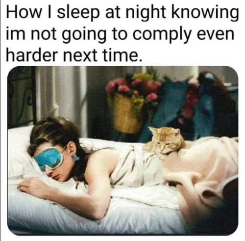 511274120_122216731604088259_4057749655592916480_n