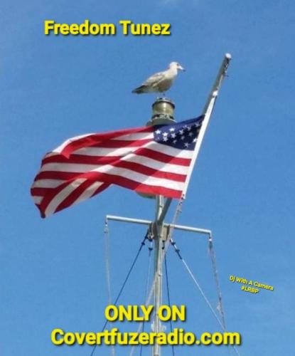 Screenshot_20250613_063717_Gallery