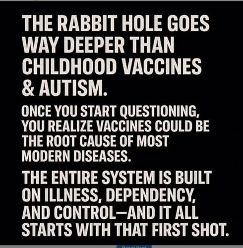 Q  Question Authority 101