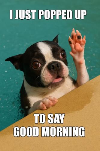 FB_IMG_1749398109761