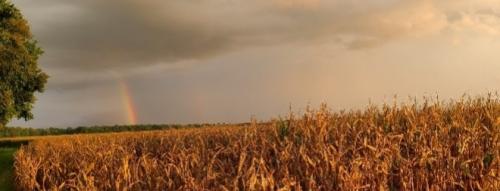 Screenshot_20250603_071811_Gallery