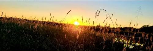 Screenshot_20250624_190033_Brave