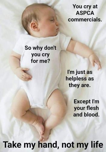 FB_IMG_1559514413354
