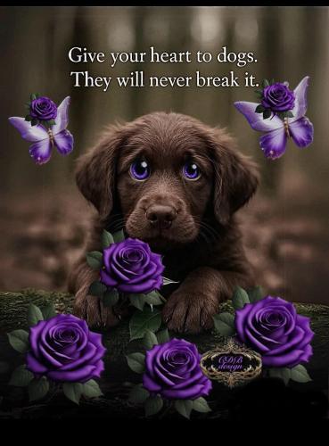 FB_IMG_1750787087889