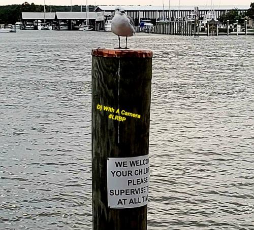 Screenshot_20250628_065626_Gallery