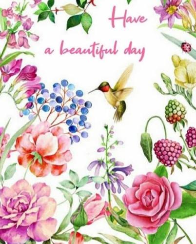 505913136_1223517492897918_4146418220385392471_n