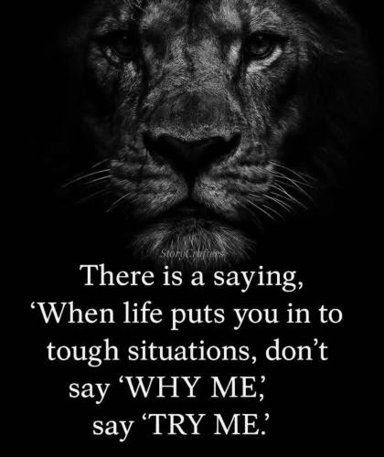 FB_IMG_1748780249134