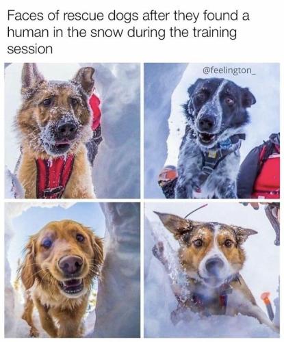 9b21be9f30ac2a15820c1c6a95df1257