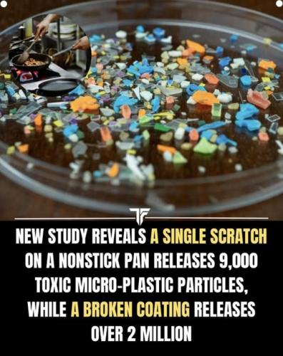 504077896_1248921003903748_7251958608930974767_n