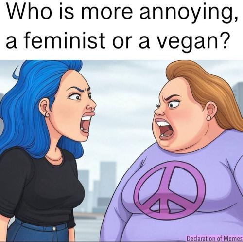 FB_IMG_1749294519085