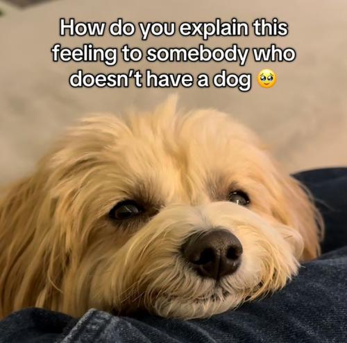 56531bbffee2c83250b2aa8bd060ff70