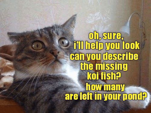 362b8f7fba52ab79e613fde73008824f