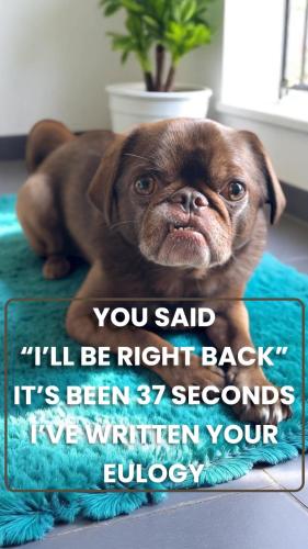 FB_IMG_1748901042217