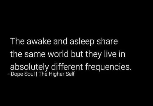 488954607_10161427188109958_138302671387038871_n
