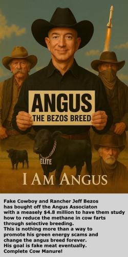 505412955_1087754116506151_2896661016246331454_n