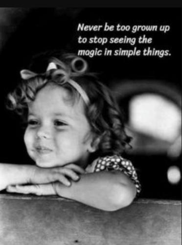 509588603_1065839125524916_1034268510376787243_n