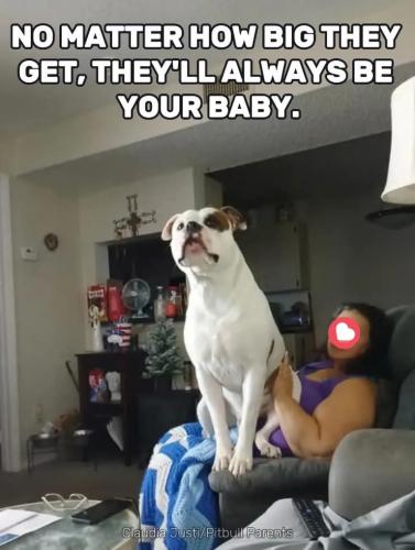 FB_IMG_1748780714295