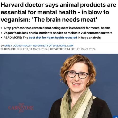 506242611_122234509058235862_4149210308568886874_n