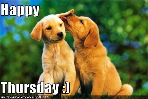 a077bd6fdae3500924eb3bdbf36233e0