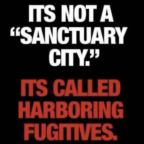 image_2025-06-12_173107228