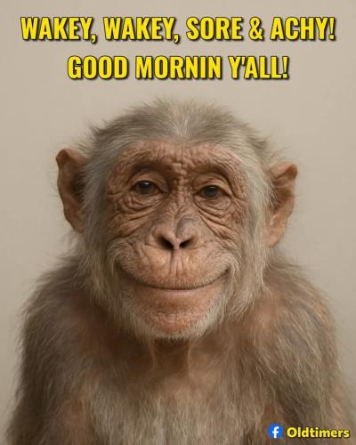 FB_IMG_1748730679866