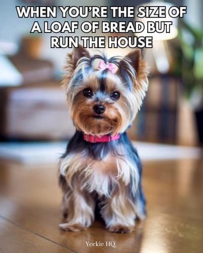 0e81174ca61d9ac24428705a8b82861d