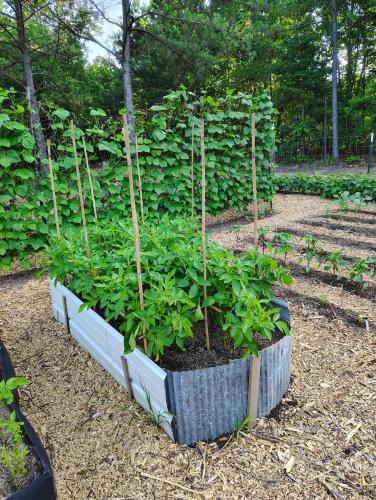 IMG_20250605_073010871_HDR