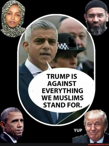 8ffcb0f6c5a87d55dfc4436deb878f810d15e90558f9a60e4d8cd9d81801ce0f_1