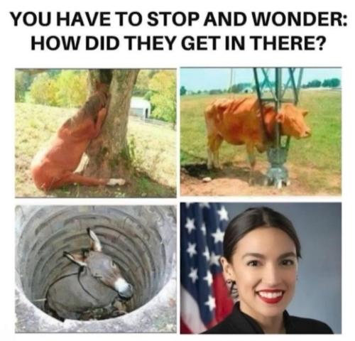 59276a30-d2b8-4935-8e3e-02375cab5669