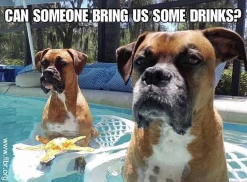 FB_IMG_1749666942058