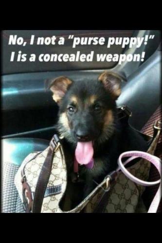 FB_IMG_1749840664623