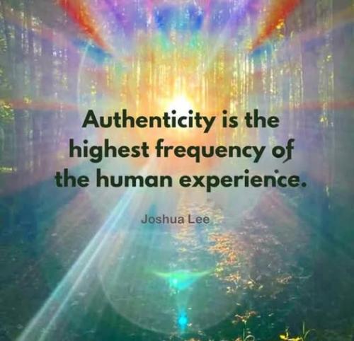 87ca278176d39d650352d84732e4056a_1024